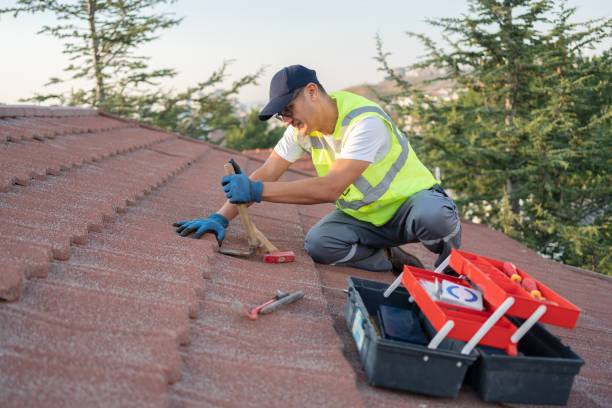 Best Tile Roofing Contractor  in Napervle, IL